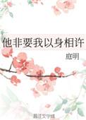 他非要我以身相许txt