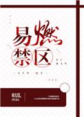 易燃禁区免费