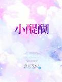 小醍醐全文免费阅读