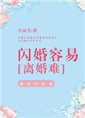闪婚的离婚率