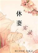 休妻实录完整剧情