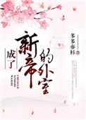 成了新帝的外室TXT带番外