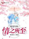 陆先生之情之所