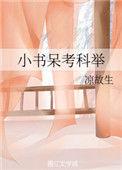 小书呆考科举全文阅读笔趣阁