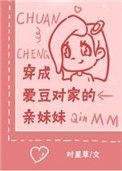 穿成爱豆对家的亲妹妹拍的电视剧