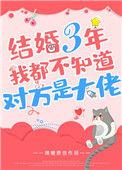 结婚三年我都不知道对方是大佬书名