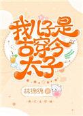 我儿子是古穿今太子番外免费