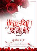 谁说我们要离婚了免费