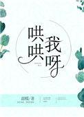 哄哄我呀晋江