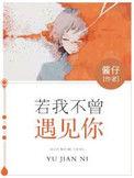 若我不曾遇见你txt