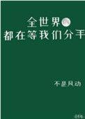 全世界都在等我们分手番外