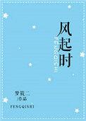 风起时讲的什么