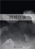 西城往事晋江
