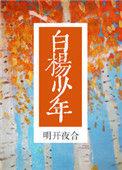 白杨少年 明开夜各