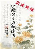 沙雕公主在线追夫简介