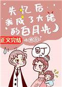 失忆后我成了大佬鱼宁