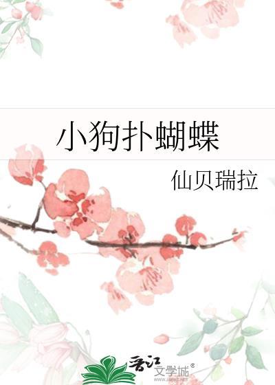小狗抓蝴蝶全文阅读