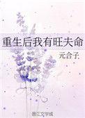 重生后我家夫人福气满满