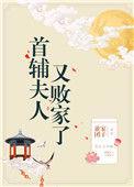 首辅夫人又败家了百度