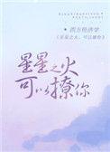 星星之火可以撩你免费阅读笔趣阁