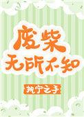 废柴无所不知简介