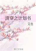 清穿之计划书艾也