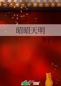 昭昭天明规则书