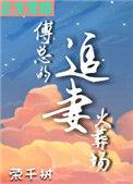 傅总追妻大结局
