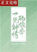 一见钟情的概率书