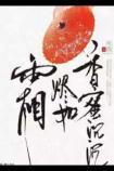 香蜜沉沉烬如霜 电视剧