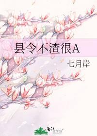 县令不渣很A全本TXT百度