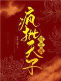 宫锁雀翎故事梗概