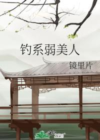 钓系弱美人TXT百度资源链接