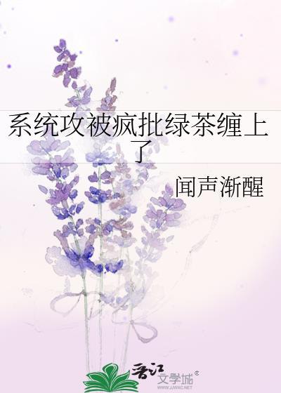 系统被我攻略了免费阅读