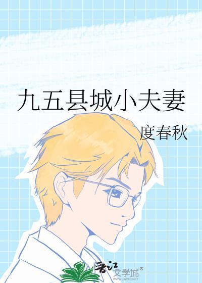 九五县城小夫妻剧情