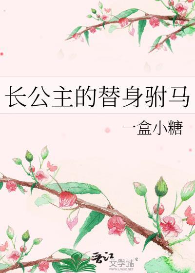 长公主的替身驸马一盒