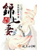 锦上妻讲了什么