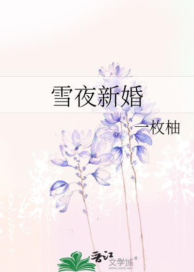 雪夜新婚晋江
