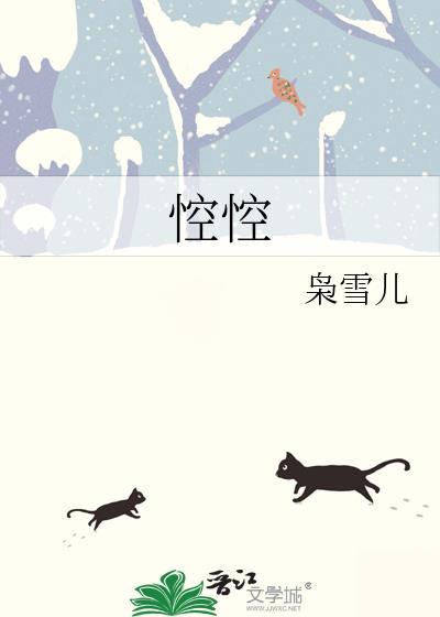 悾悾是什么意思