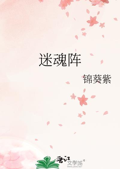 迷魂阵锦紫葵