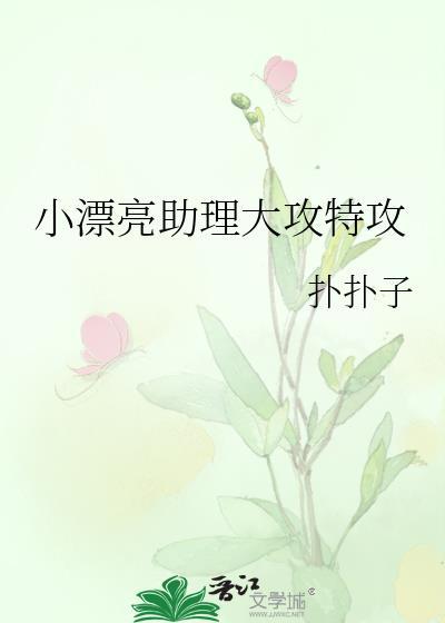 小漂亮助理大攻特攻百度