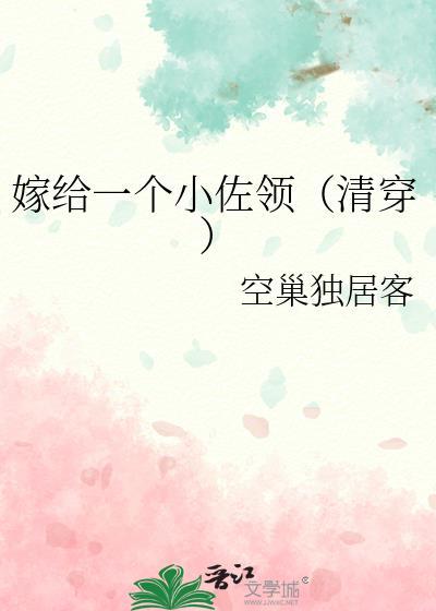 嫁给一个小佐TXT免费阅读全文