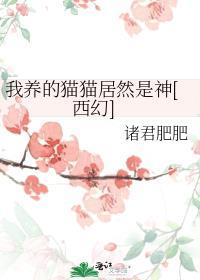 我养的宠物猫