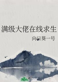 满级大佬在线攻略