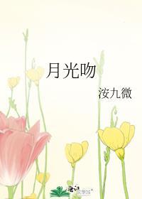 月光吻上华尔兹by砂糖西瓜 这本简介好心动