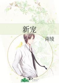 新宠网一件代发