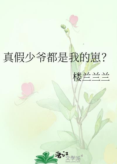 真假少爷CP