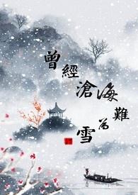 曾经沧海难为是什么