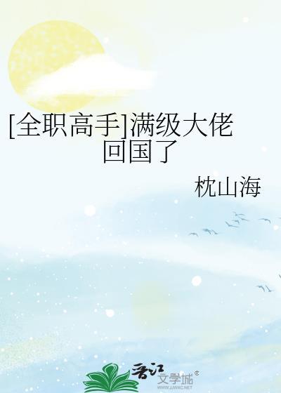 全职全职业满级之后