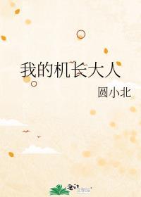 我的机长大人by圆小北百度